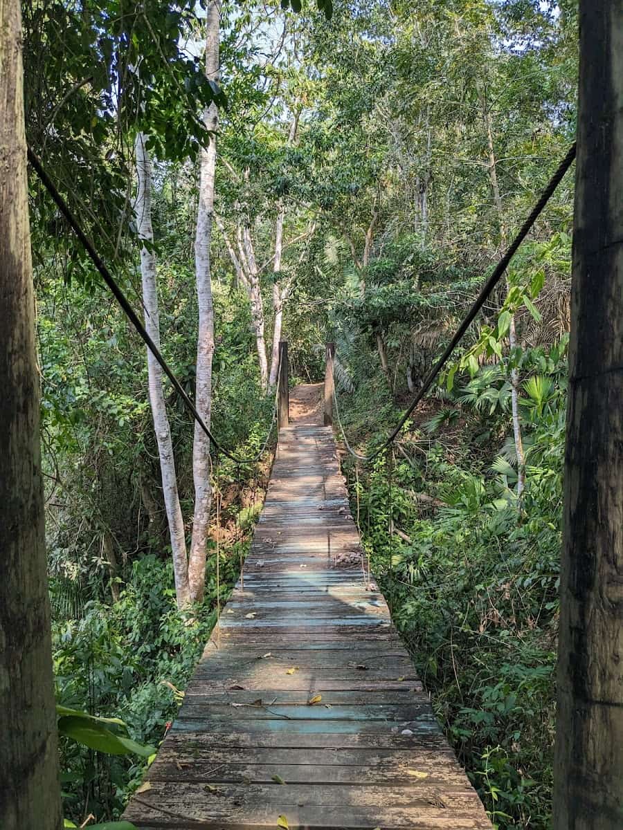 Belize Botanic Gardens, Belize
