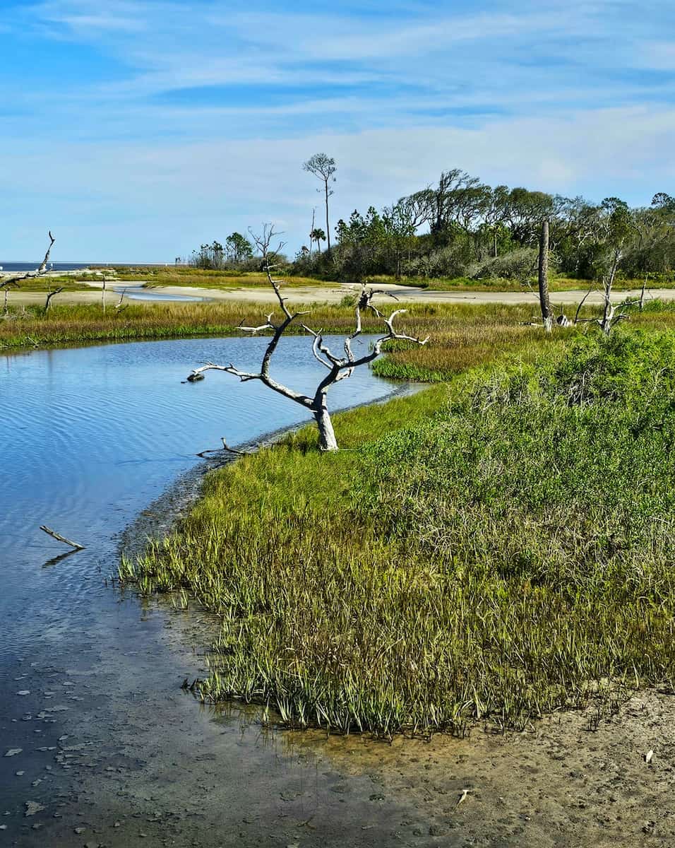 Big Talbot Island State Park, FL