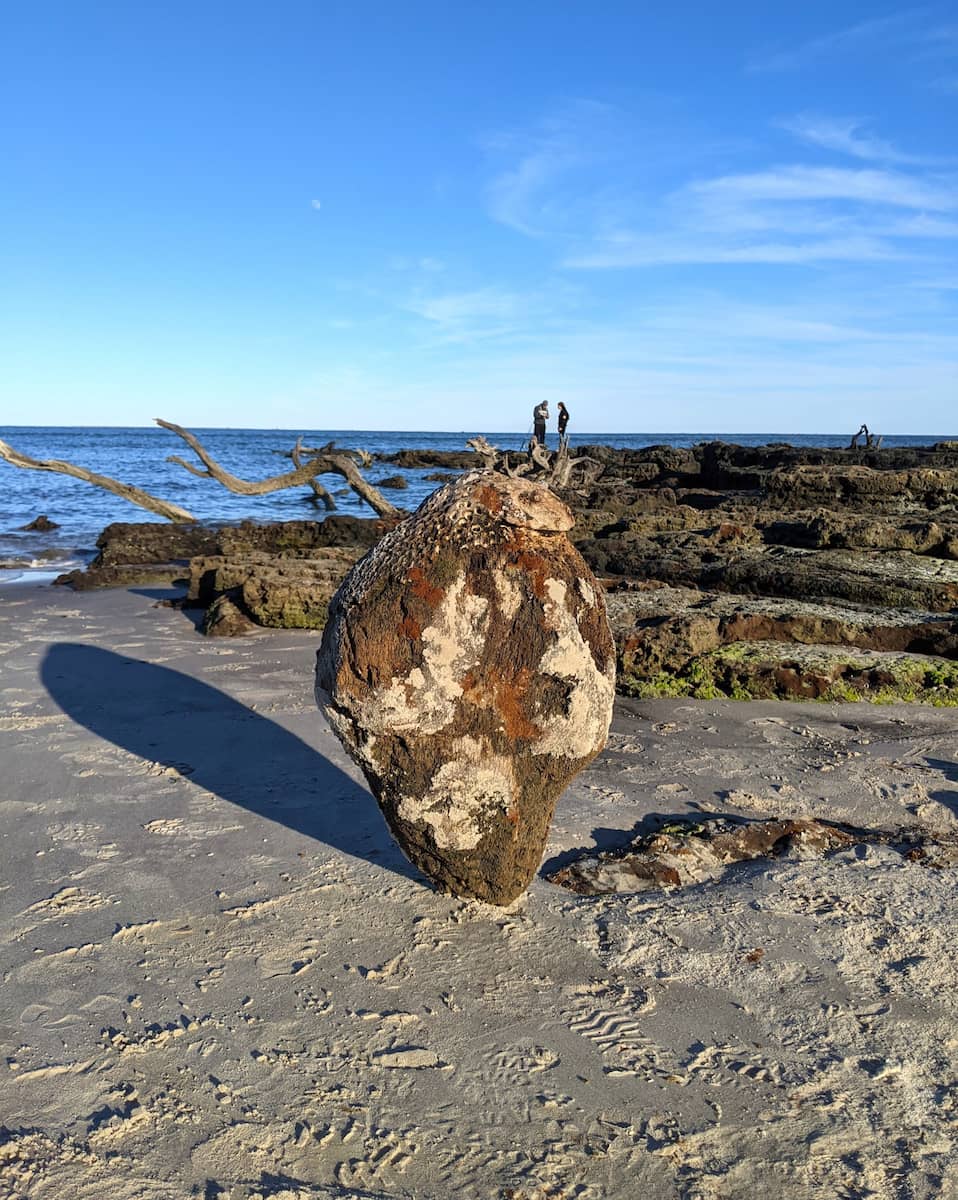 Big Talbot Island State Park, FL