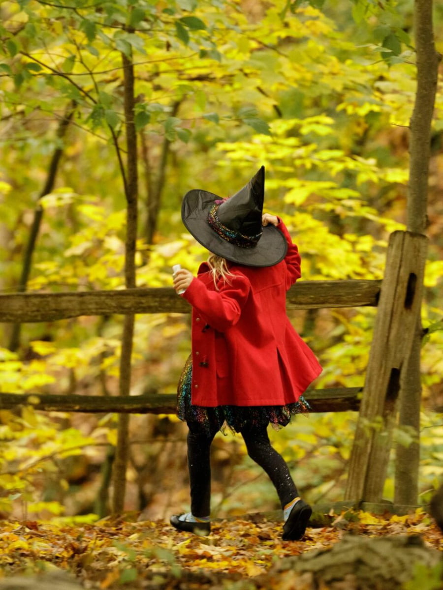 Blandford Nature Center, Grand Rapids