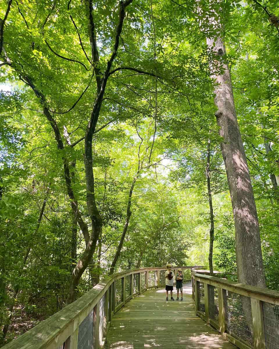 Bluebonnet Swamp Nature Center, Baton Rouge