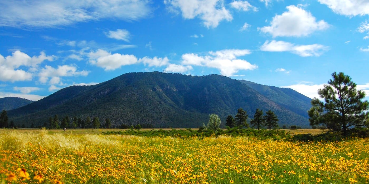 Buffalo Park, Flagstaff
