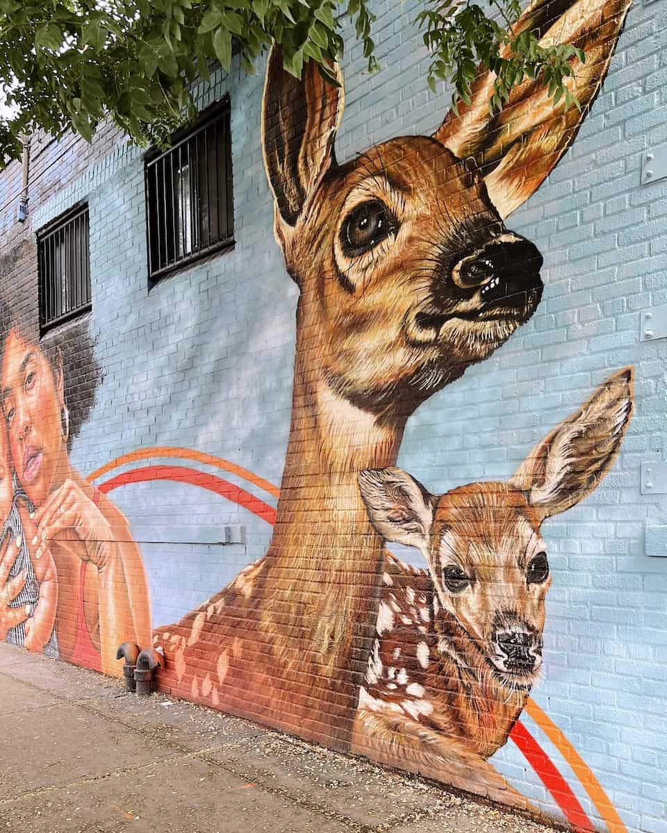 Bushwick Street Art, Brooklyn