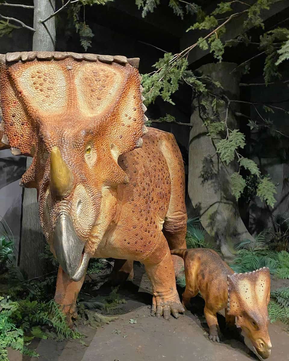 Canadian Museum of Nature