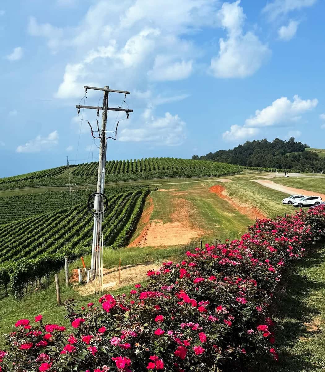 Carter Mountain Orchard, Charlottesville