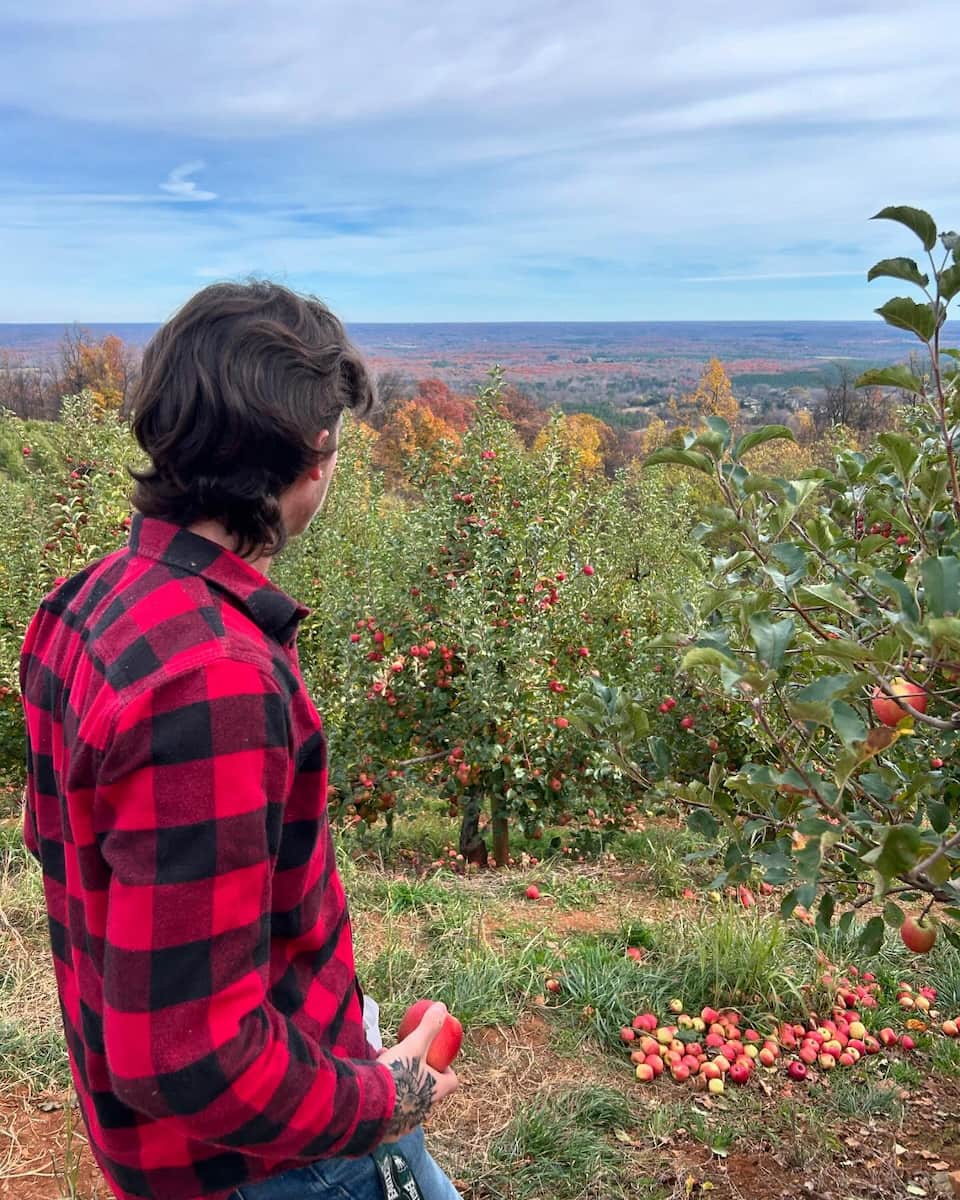 Carter Mountain Orchard, Charlottesville