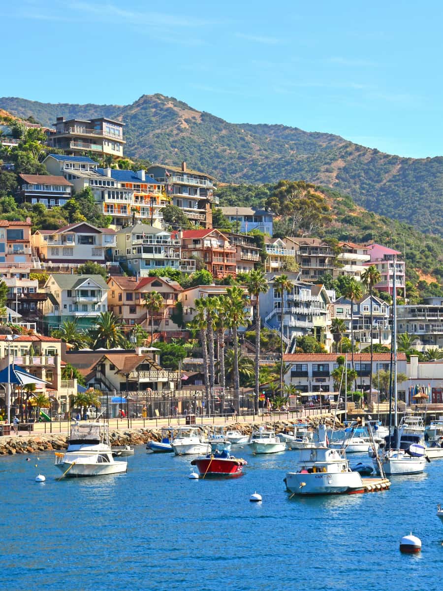 Catalina Island, California