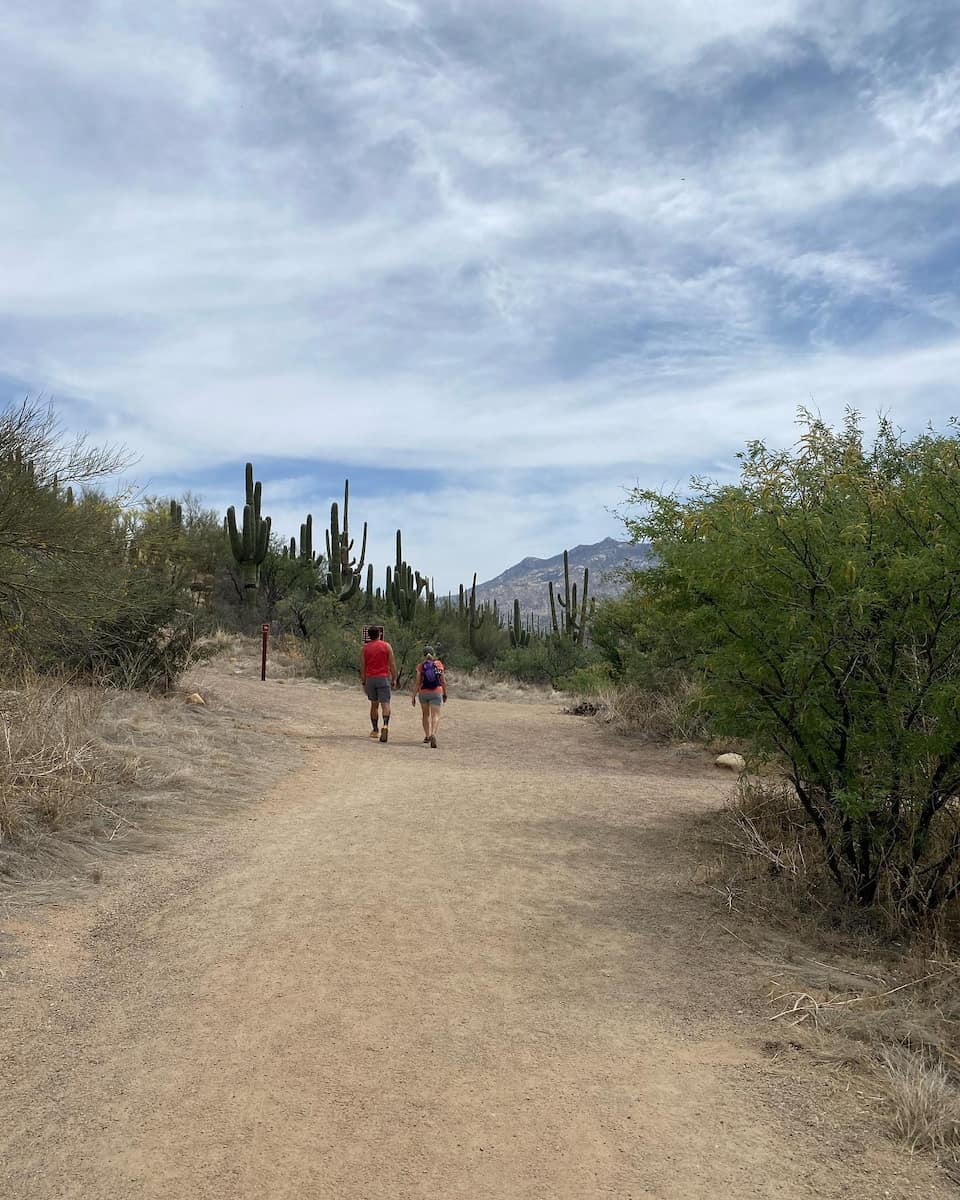 Catalina State Park, Tucson