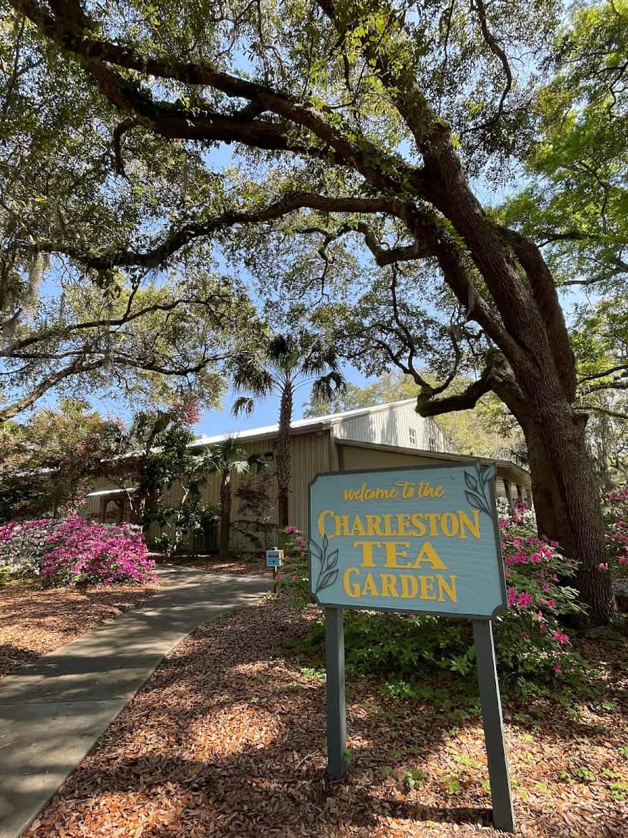 Charleston Tea Plantation, South Carolina