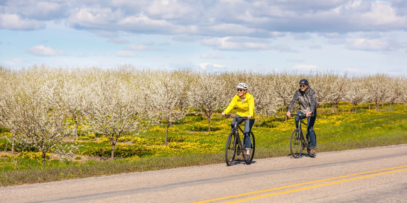 Cherry Blossom M-37, Traverse City