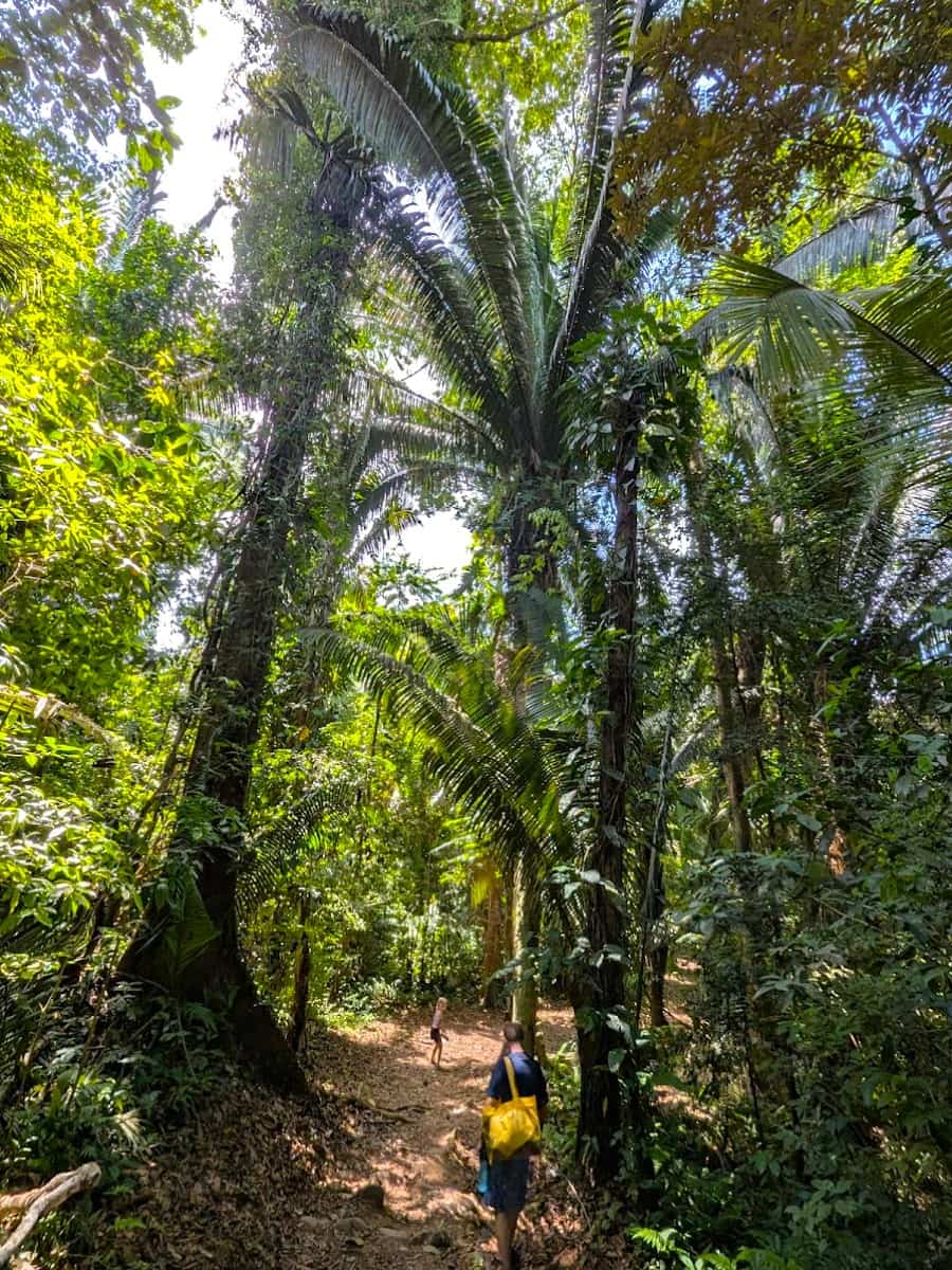 Cockscomb Basin Wildlife Sanctuary, Belize