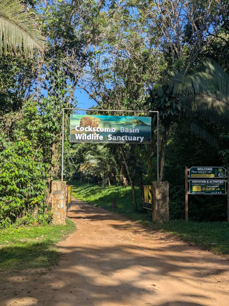 Cockscomb Basin Wildlife Sanctuary, Belize