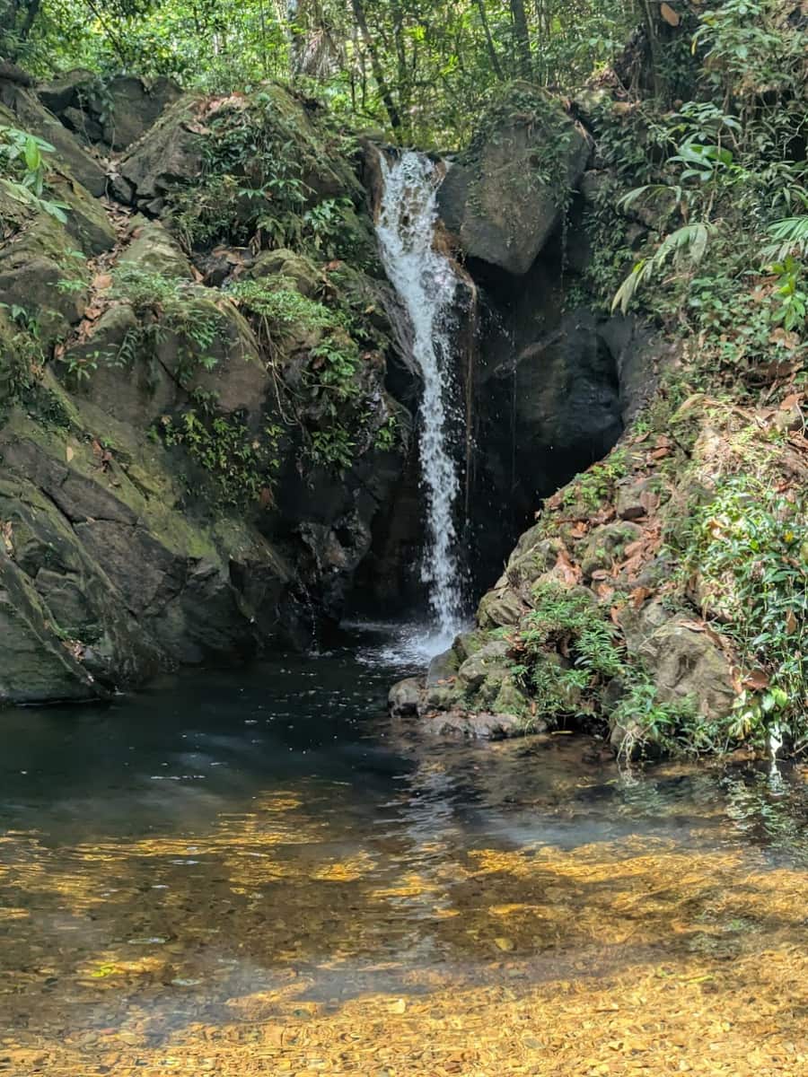 Cockscomb Basin Wildlife Sanctuary, Belize