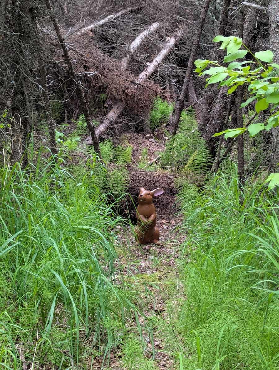 Earthquake Park Anchorage, Anchorage