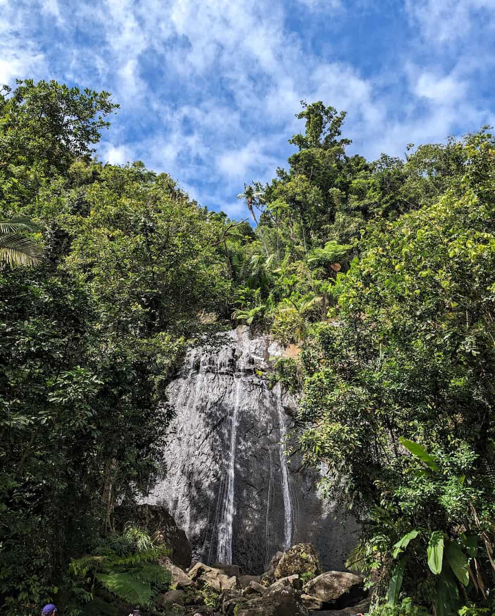 El Yunque National Forest