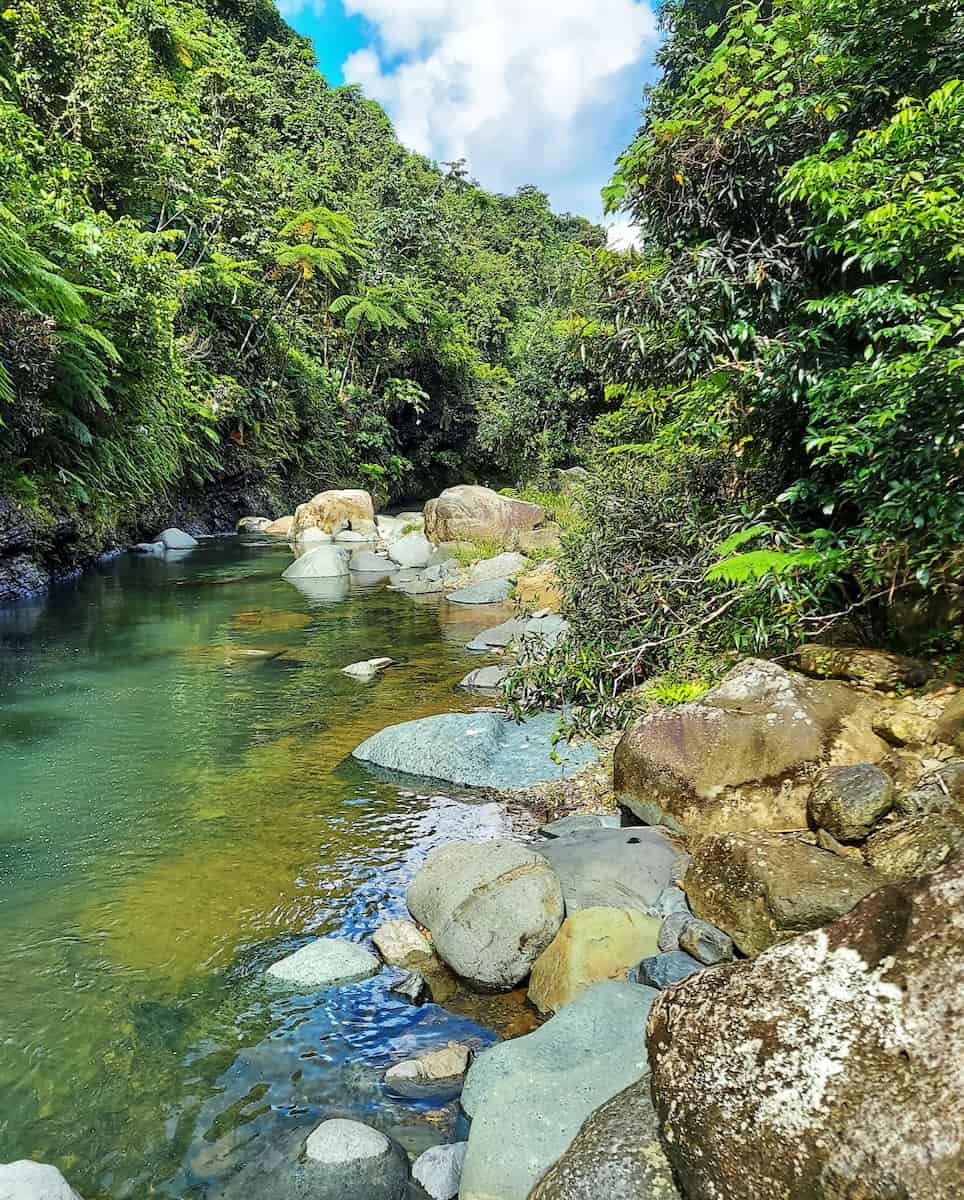 El Yunque National Forest