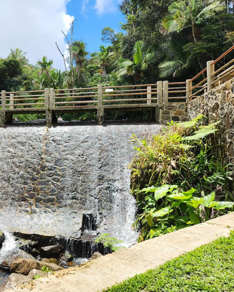El Yunque National Forest