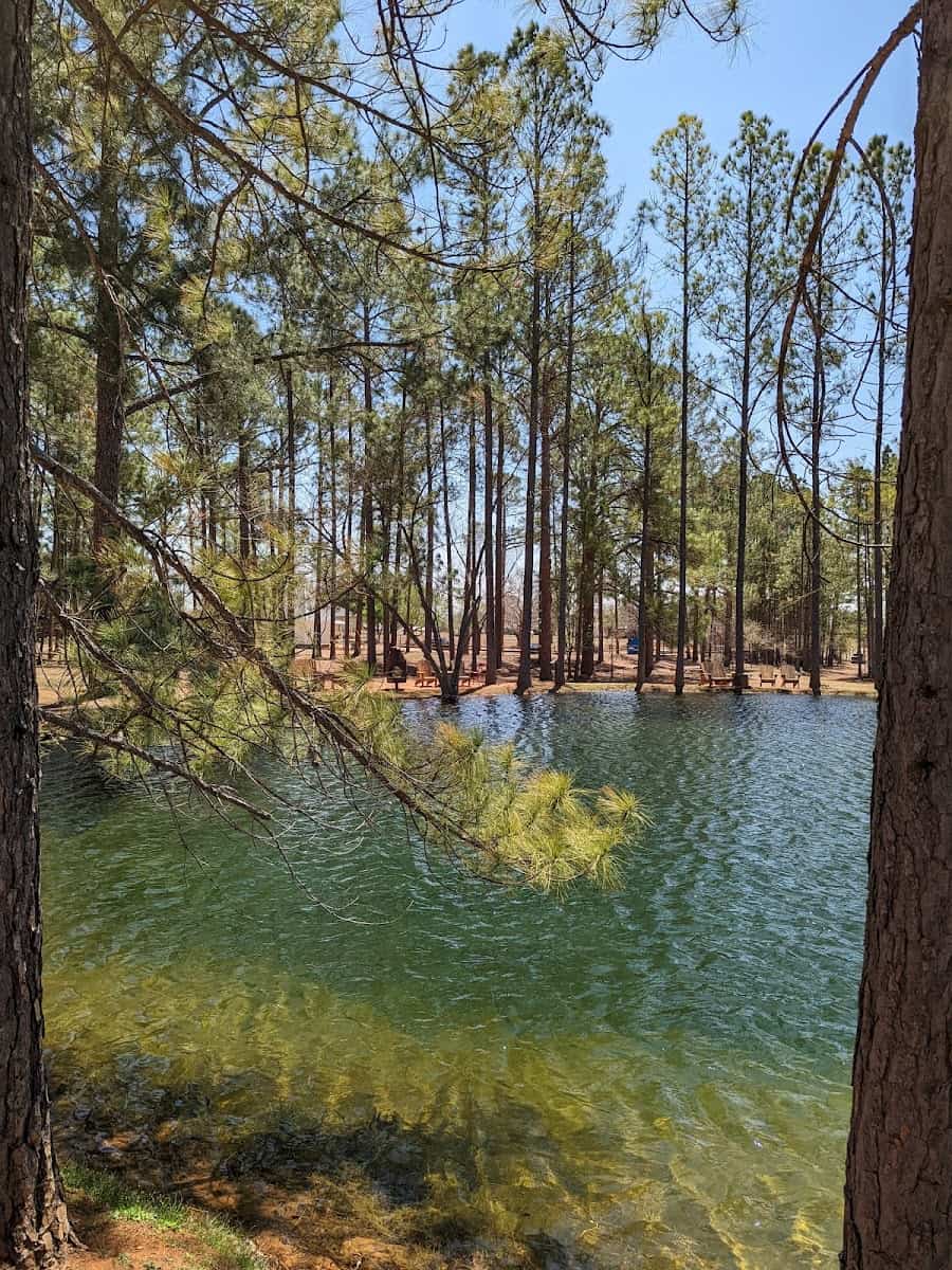 Enchanted Rock State Natural Area, Fredericksburg, TX
