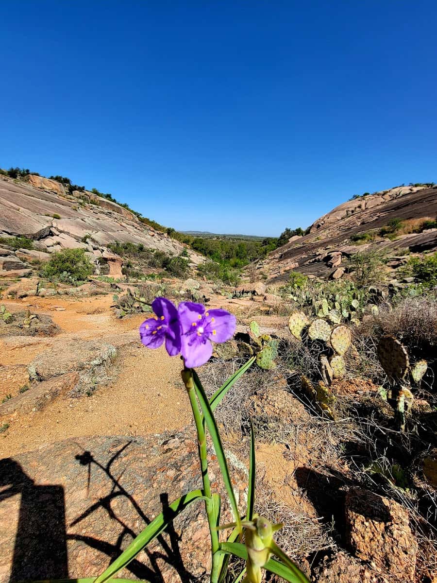 Enchanted Rock State Natural Area, Fredericksburg, TX