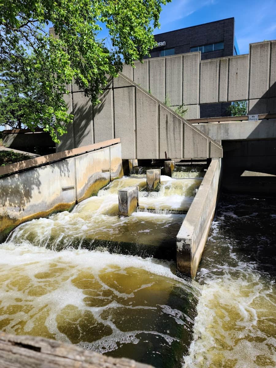 Fish Ladder Park, Grand Rapids, MI