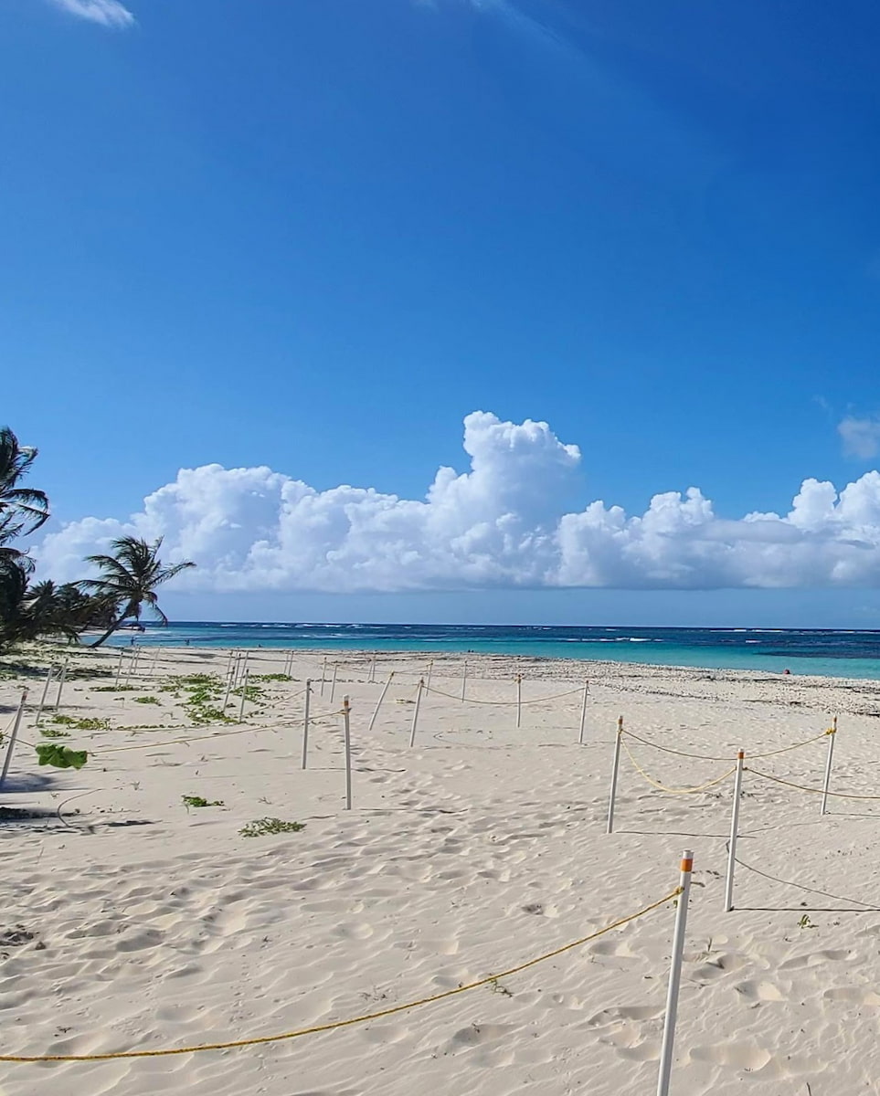 Flamenco Beach, San Juan