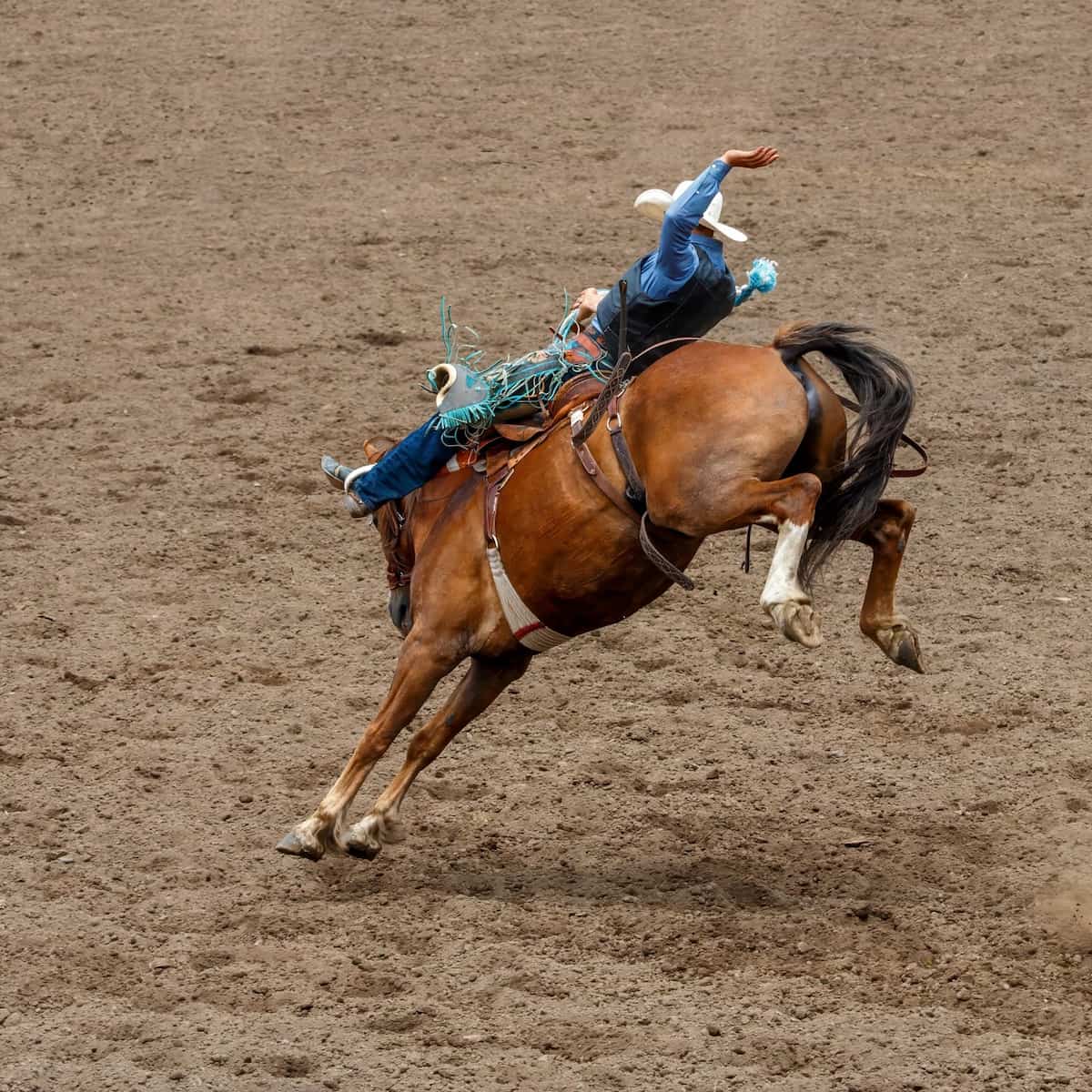 Fort Worth Stock Show & Rodeo