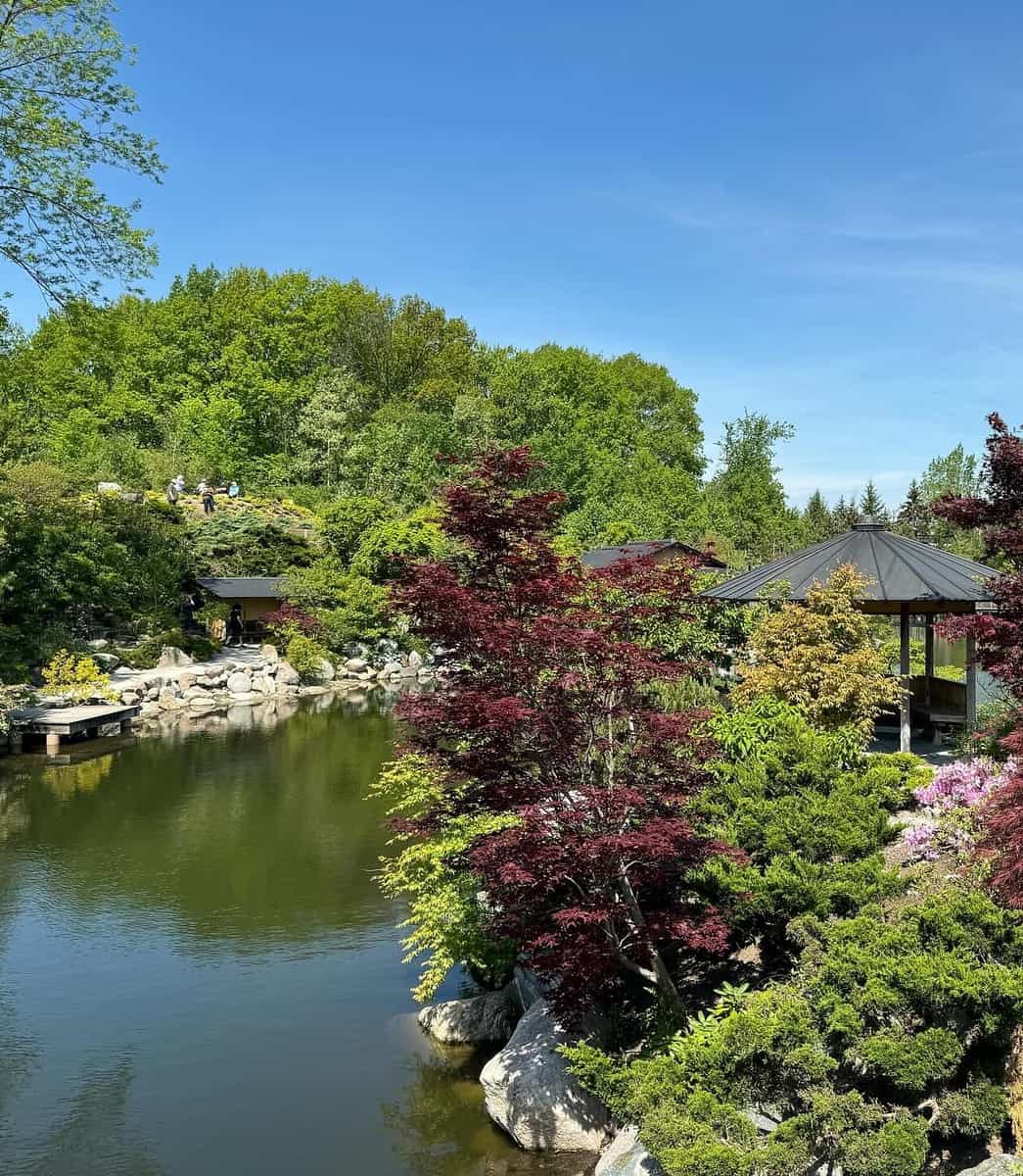 Frederik Meijer Gardens & Sculpture Park, Grand Rapids
