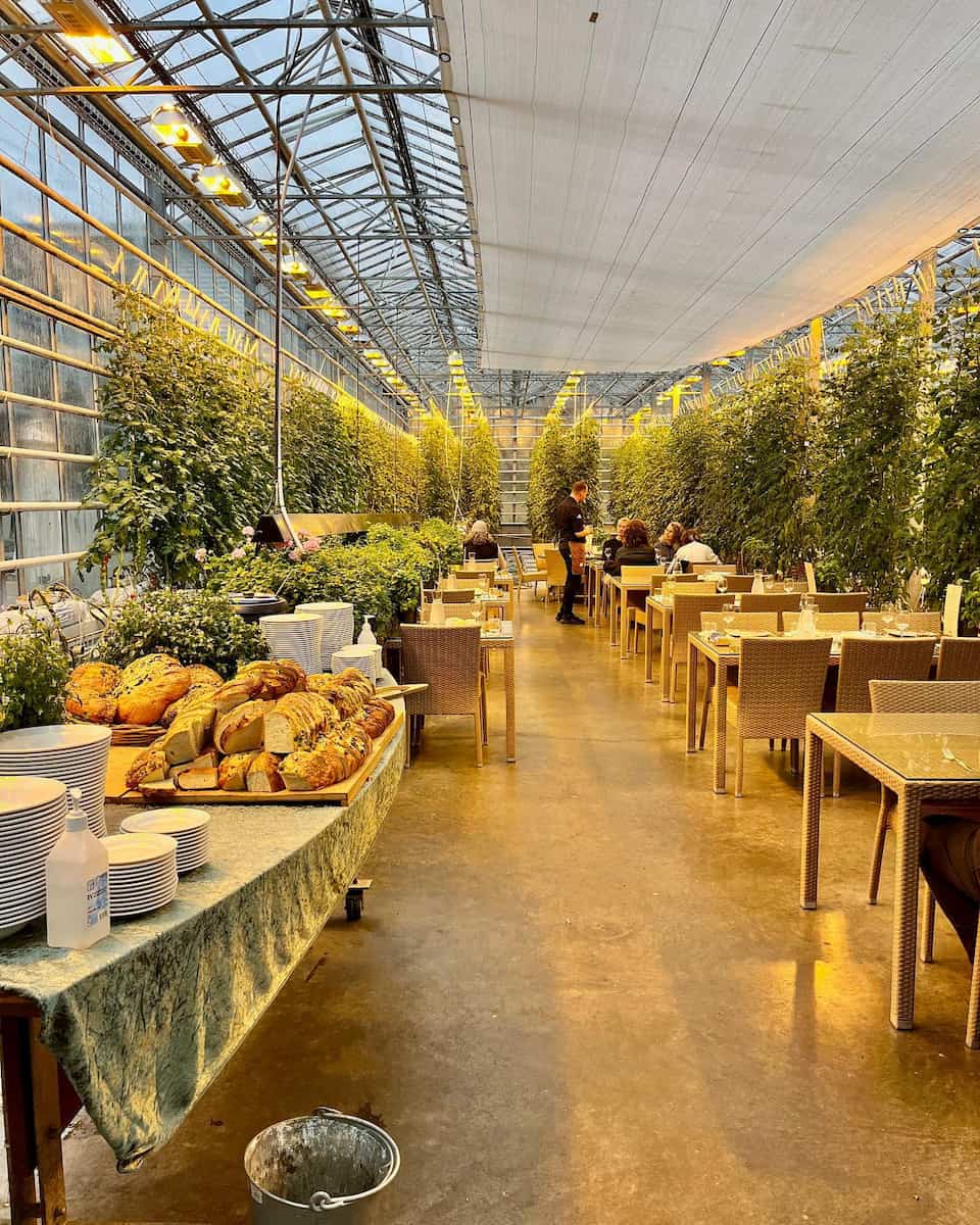 Friðheimar Greenhouse, Iceland