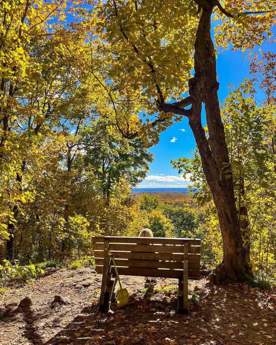Gatineau Park, Canada
