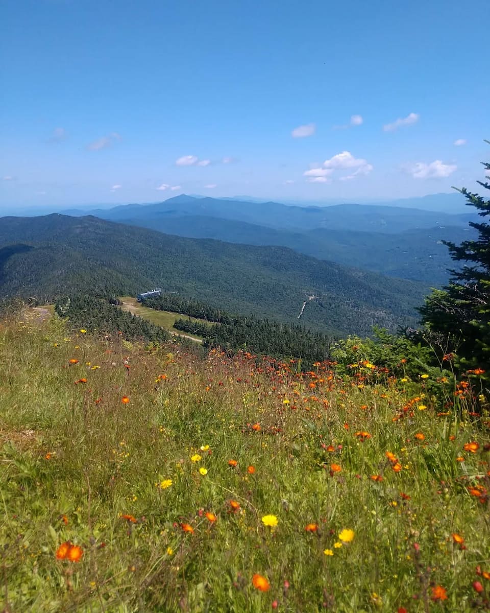 Green Mountain National Forest, Vermont