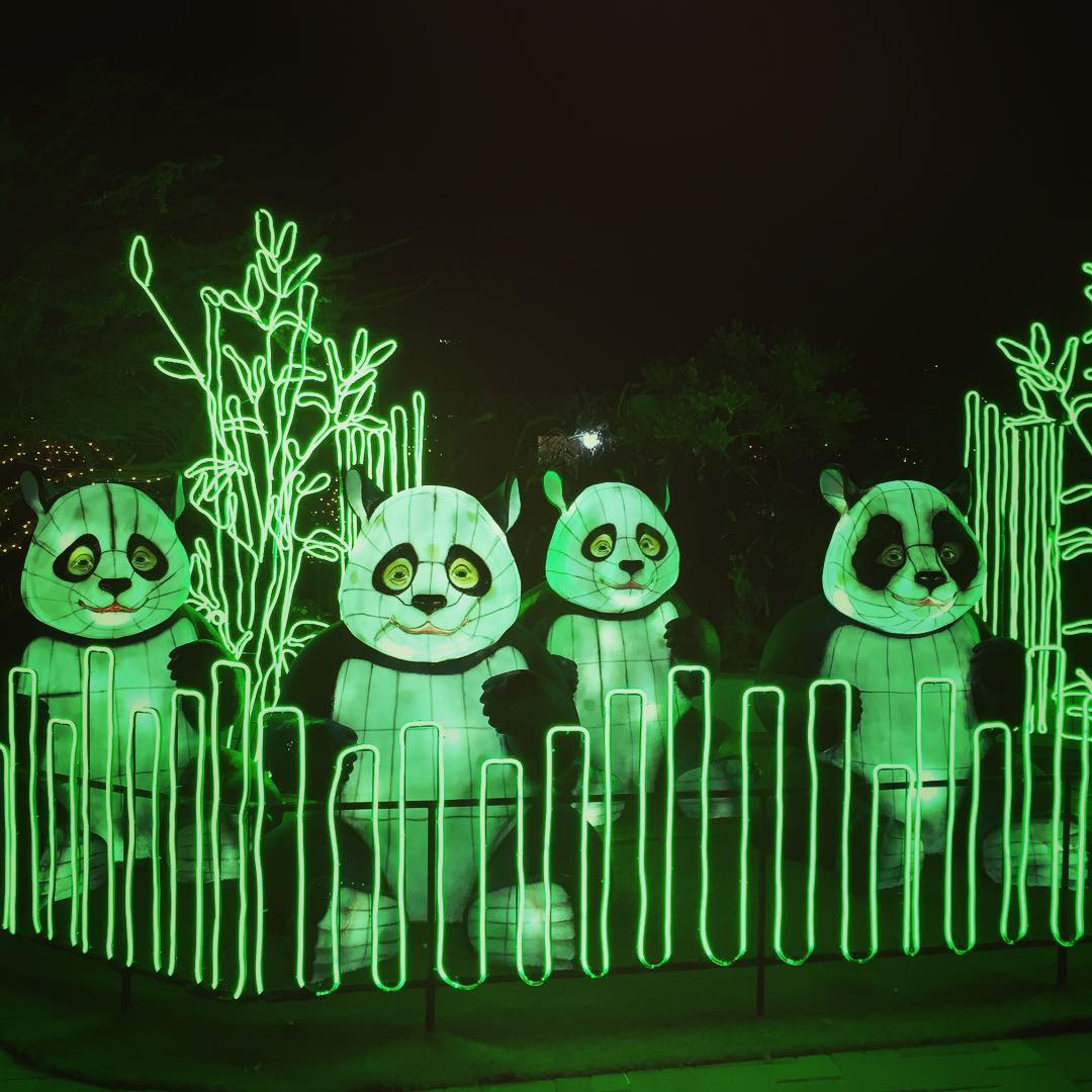 Henry Doorly Zoo's Zoolightful, Omaha