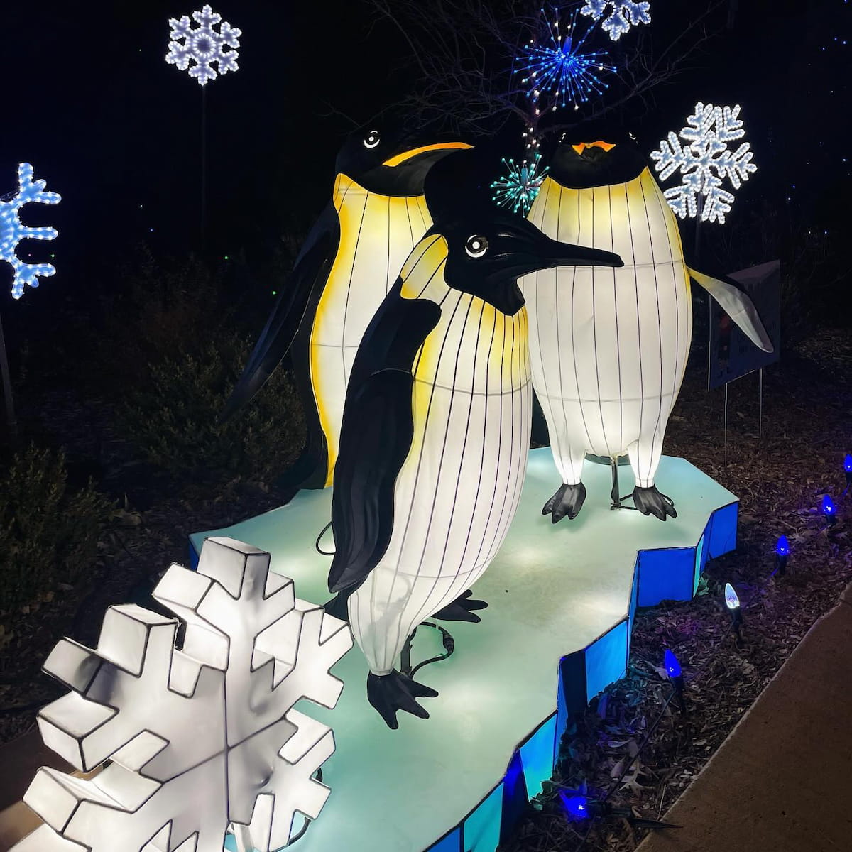 Henry Doorly Zoo's Zoolightful, Omaha