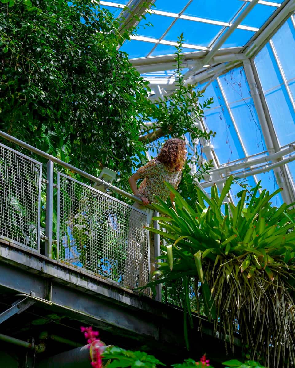 Cleveland Botanical Garden