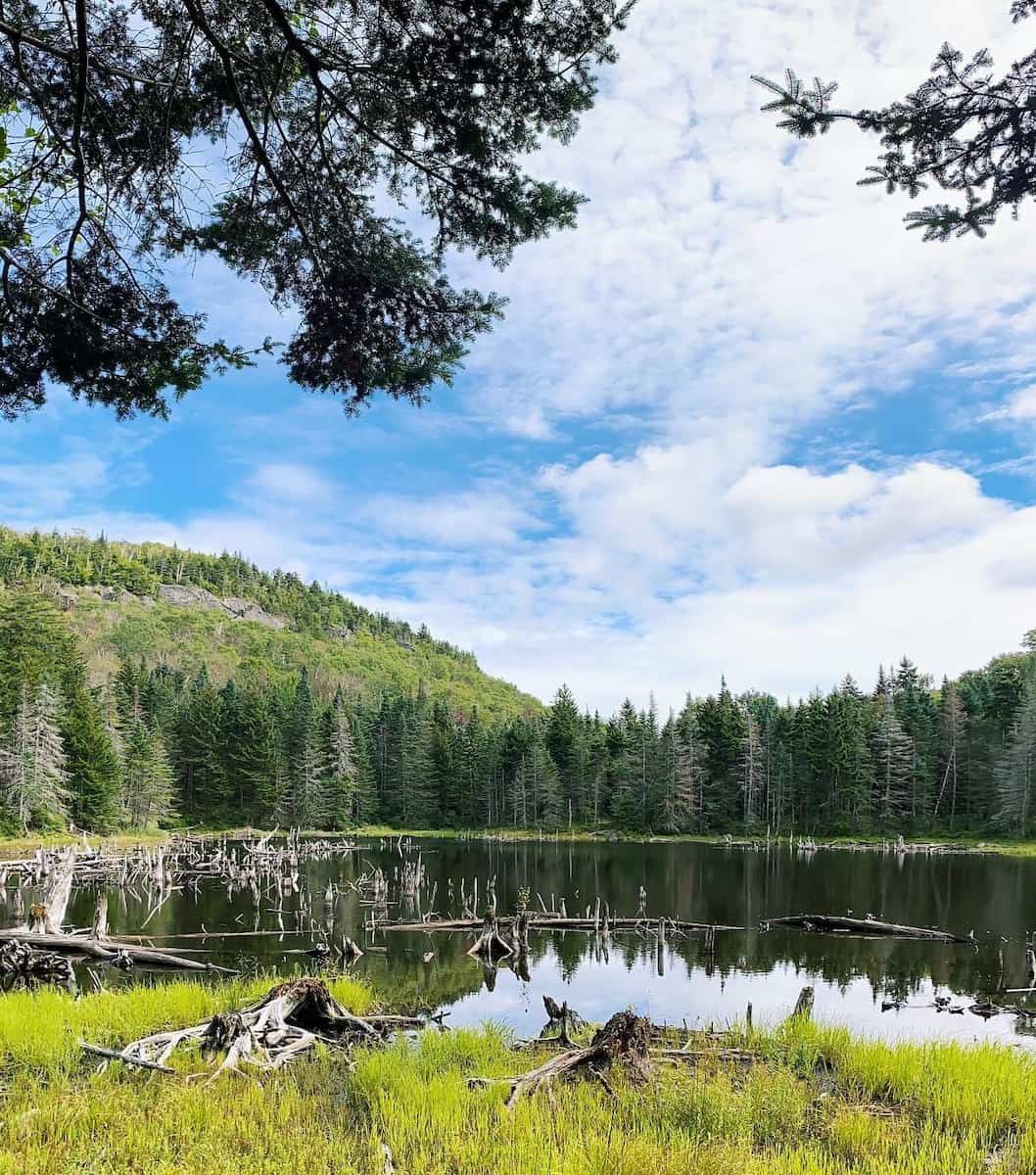 Hiking the Long Trail, Vermont