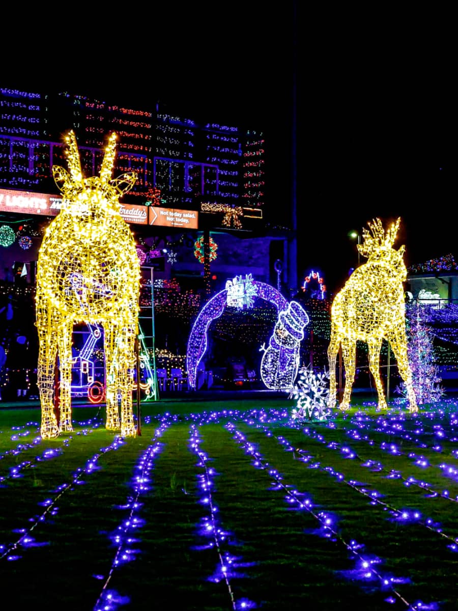 Holiday Lights Festival , Reno, NV