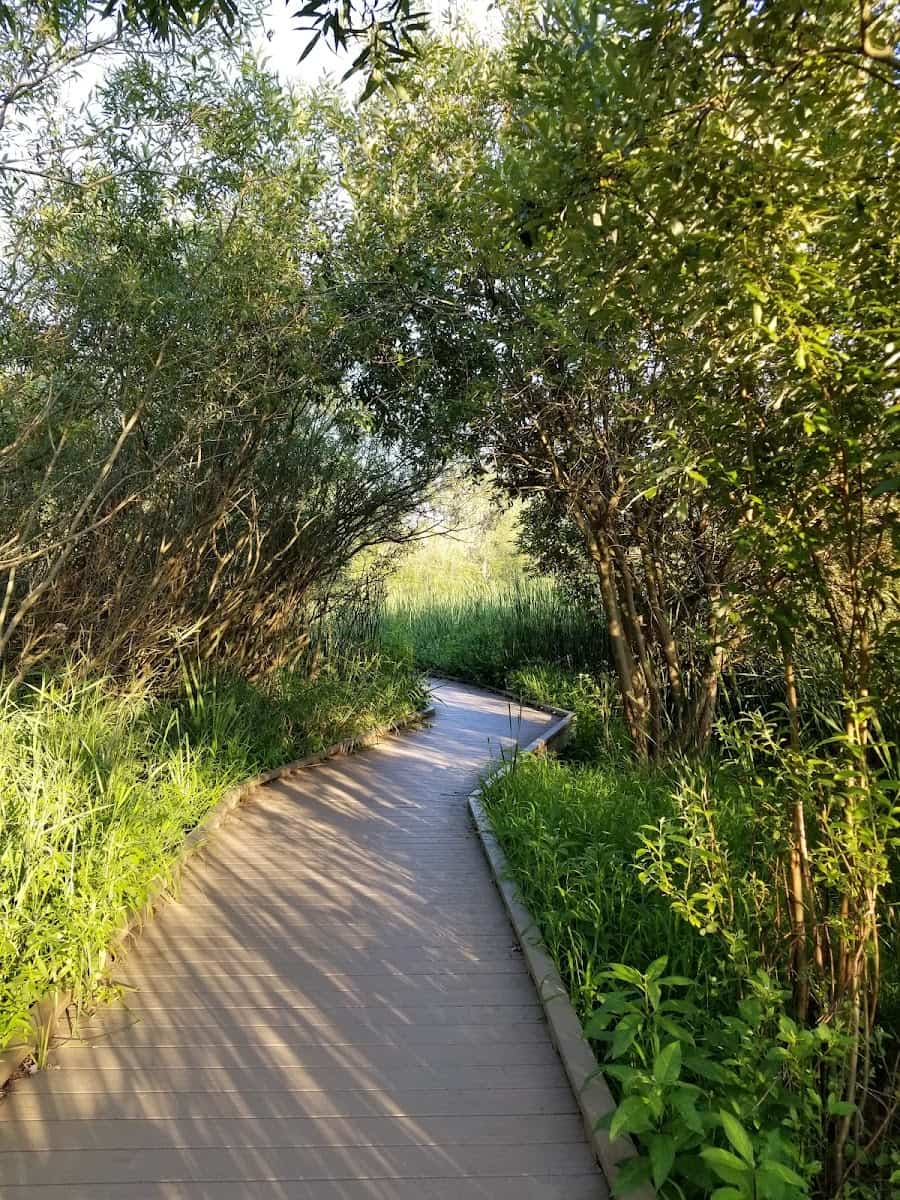 Huff Park, Grand Rapids, MI