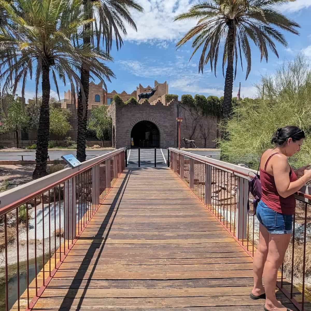 International Wildlife Museum, Tucson