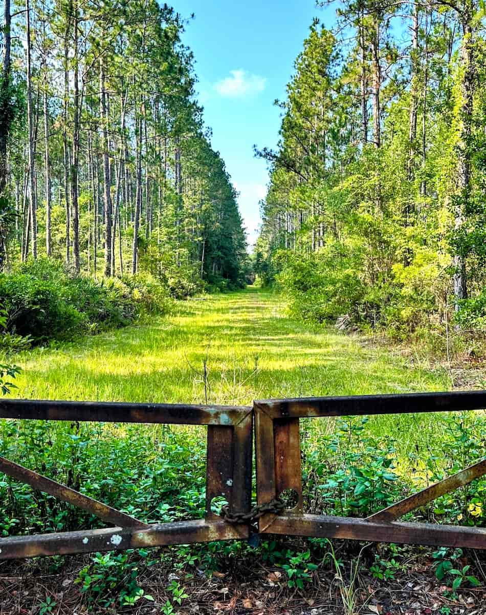 Jacksonville-Baldwin Rail Trail