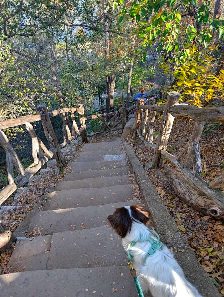 Jacob’s Ladder, Waco, TX