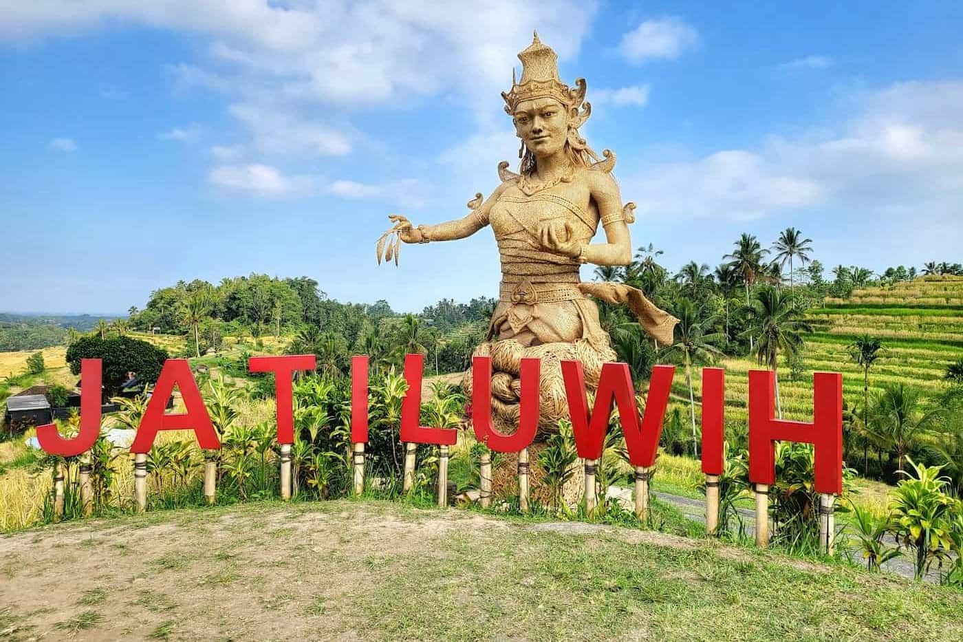 Jatiluwih Rice Terraces1