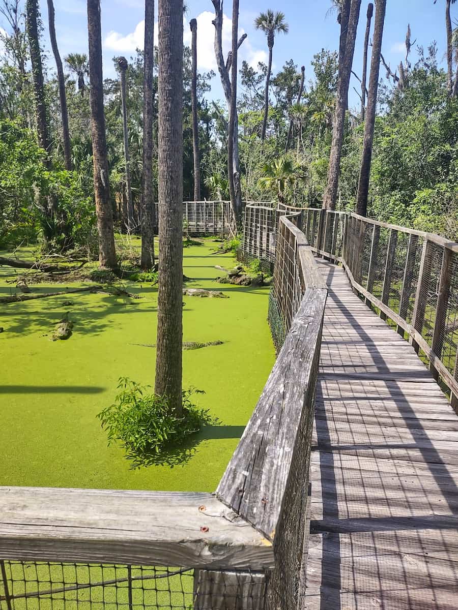 Jungle Adventures, Cocoa Beach