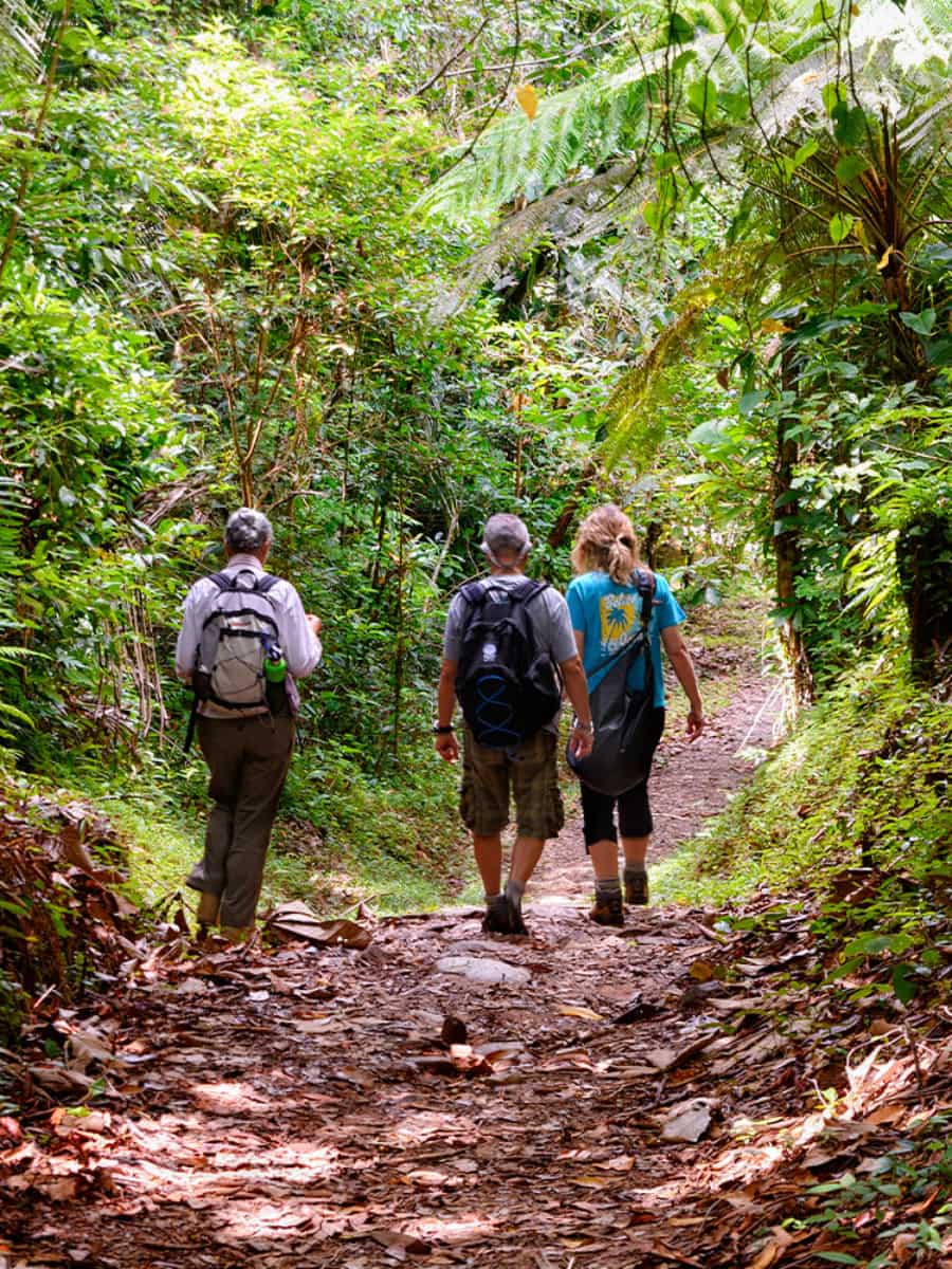 Jungle Hiking, Belize