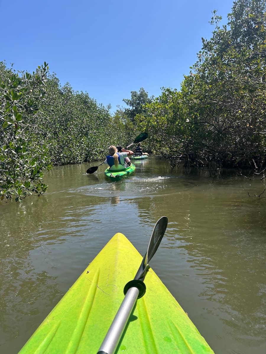 Kayak the Banana River, Cocoa Beach