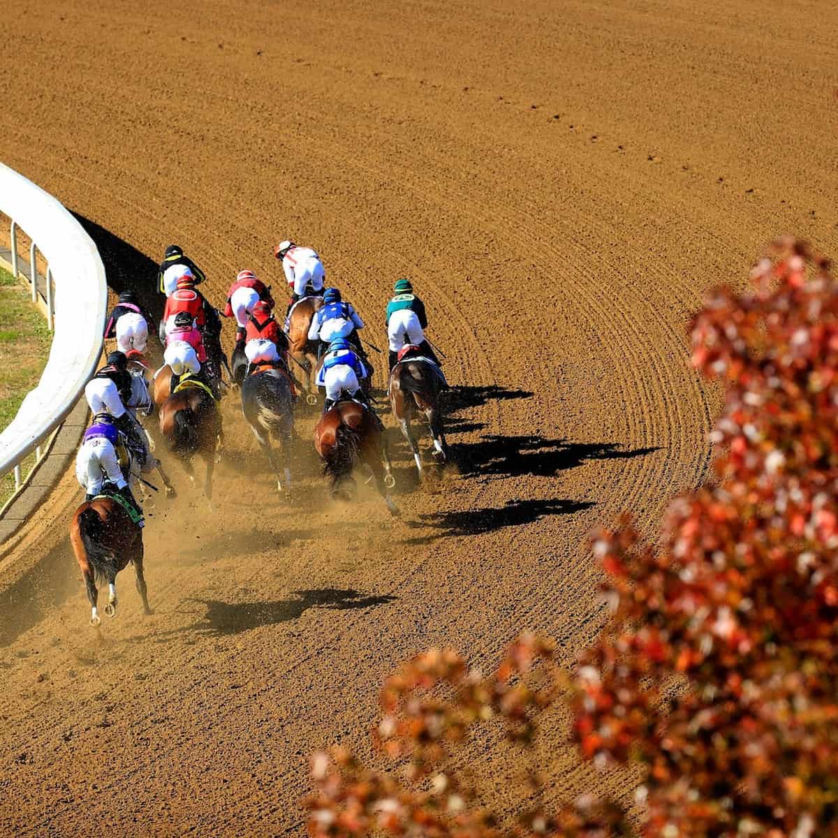Keeneland Race Course, Lexington