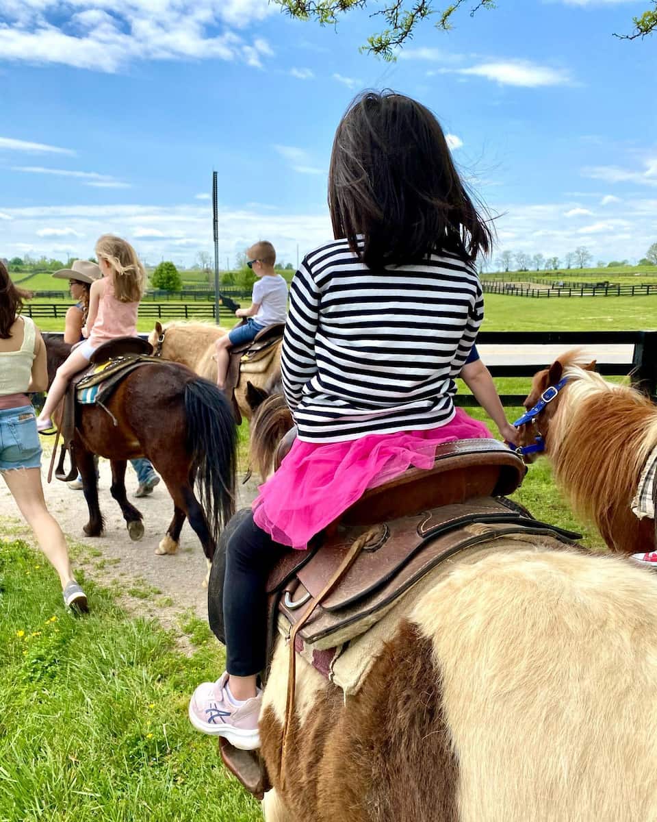 Kentucky Horse Park, Lexington