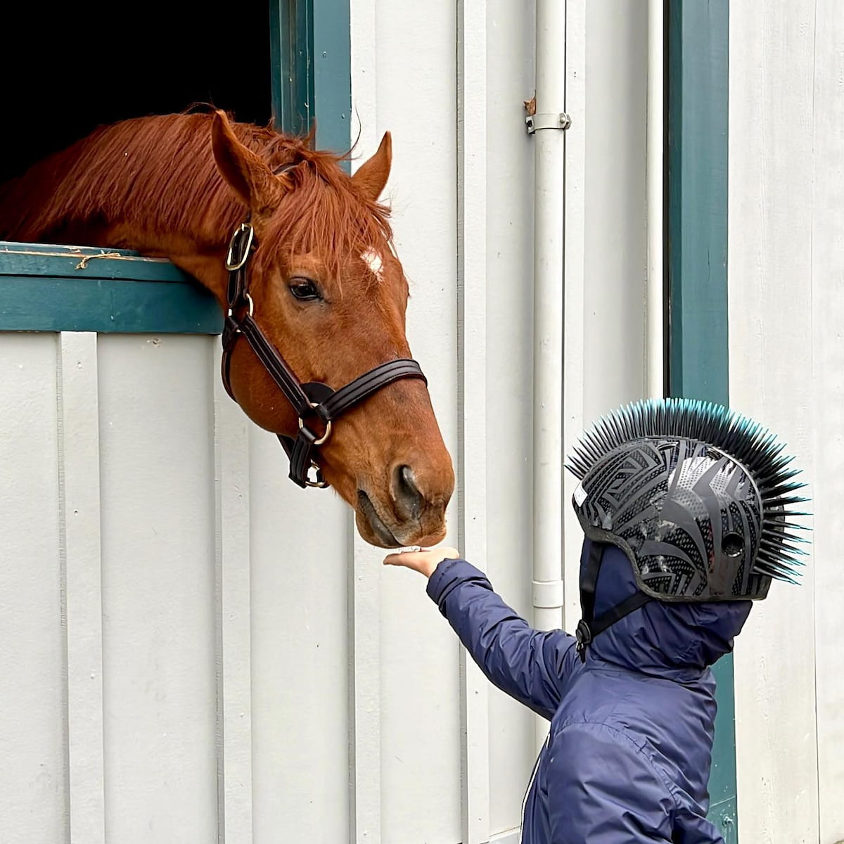 Kentucky Horse Park, Lexington