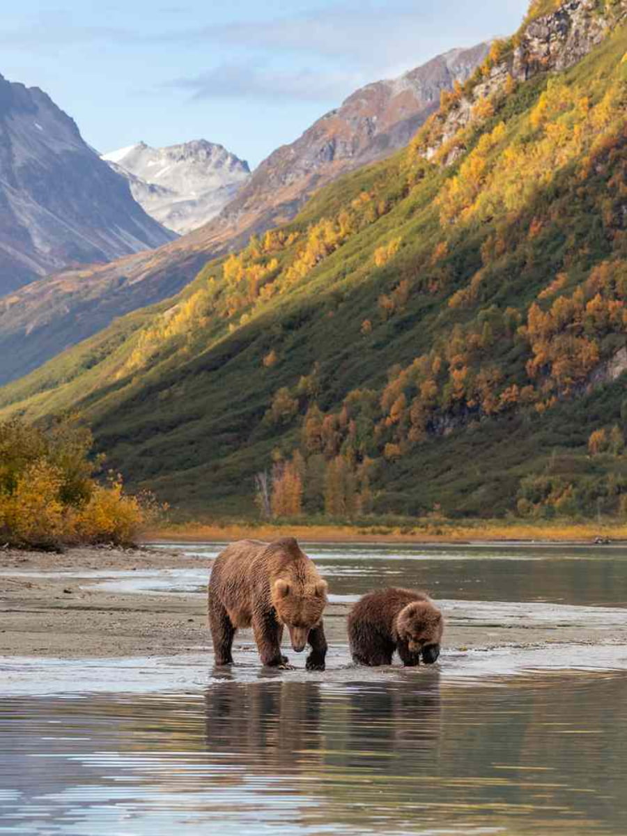 Lake Clark National Park, Anchorage