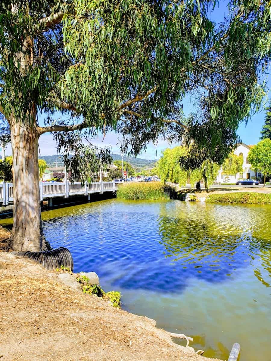 Lake El Estero Park Complex, Monterey, California