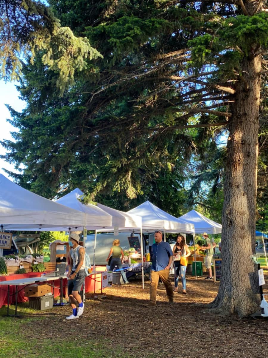 Lindley Park Center, Bozeman, Montana