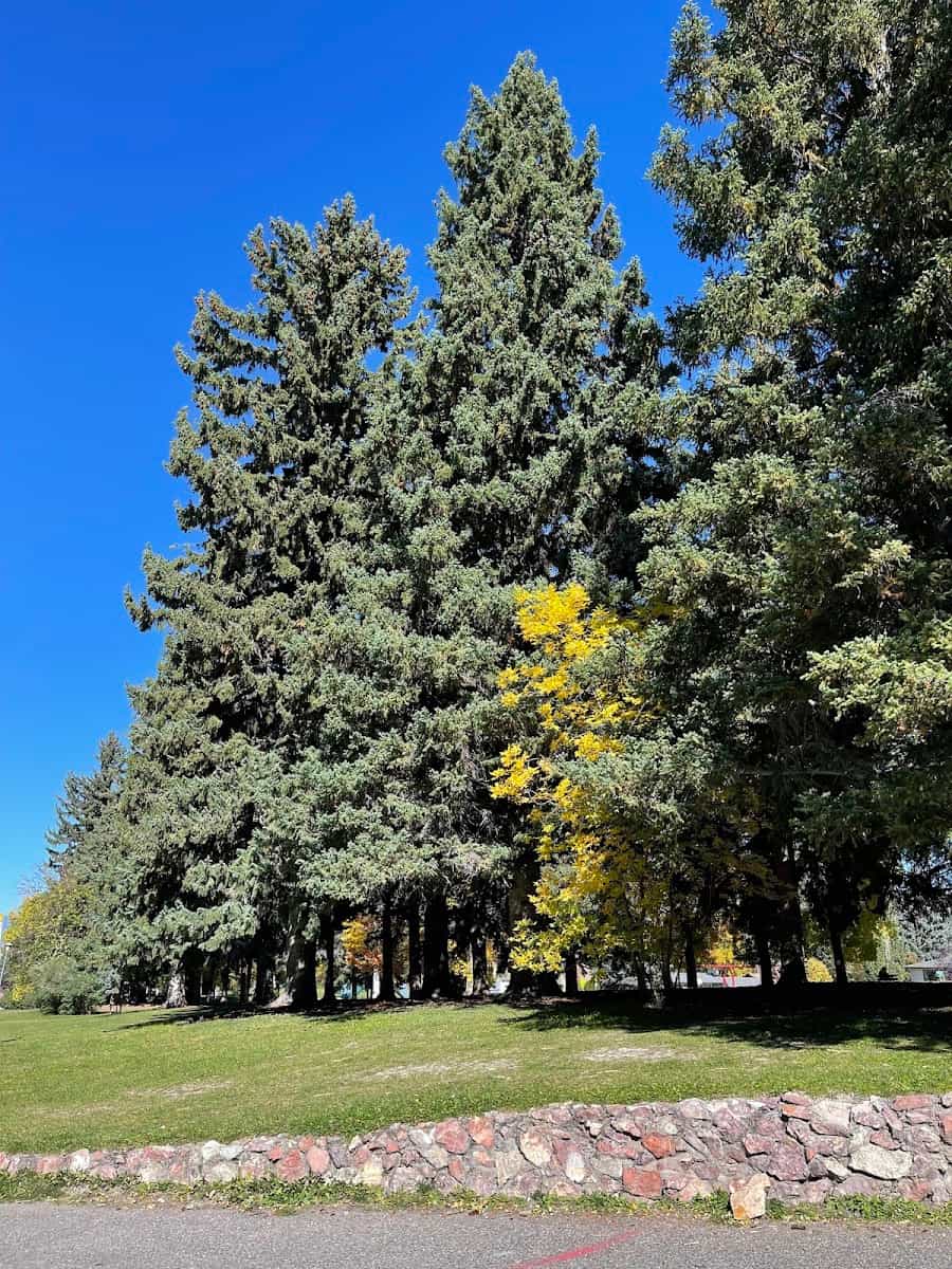 Lindley Park Center, Bozeman, Montana